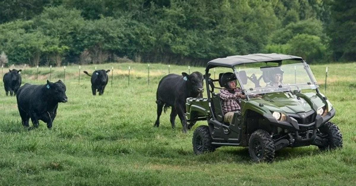 Best UTV For Farm Under 5000 An Ultimate Guide (2023)