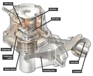 Polaris Ranger Fuel Pump Problems -A Complete Guide (2023)