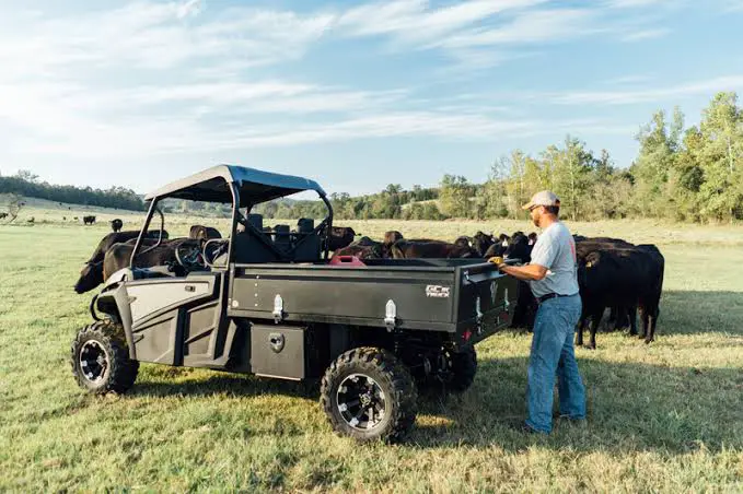 Best UTV For Work, Play And Farm Work With Skid Steer