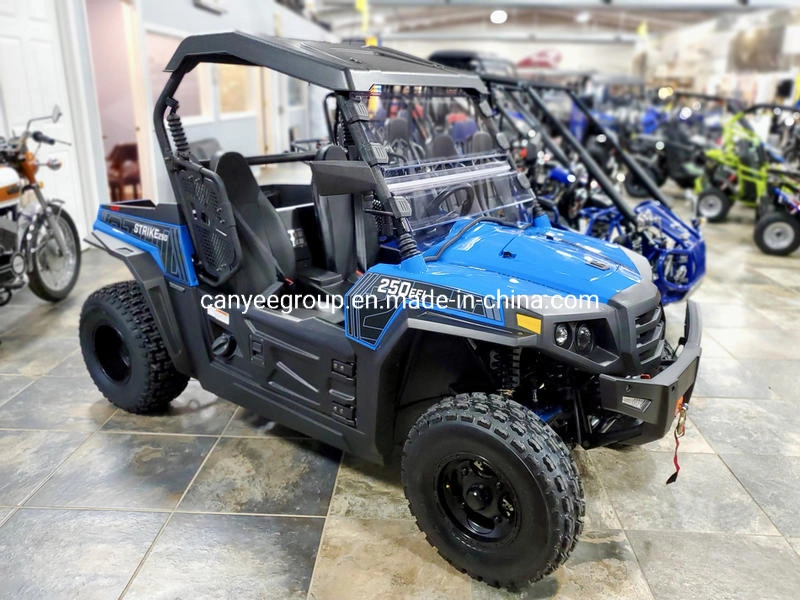 Hisun Electric 4Wheel Drive Mountain Tank(2023)