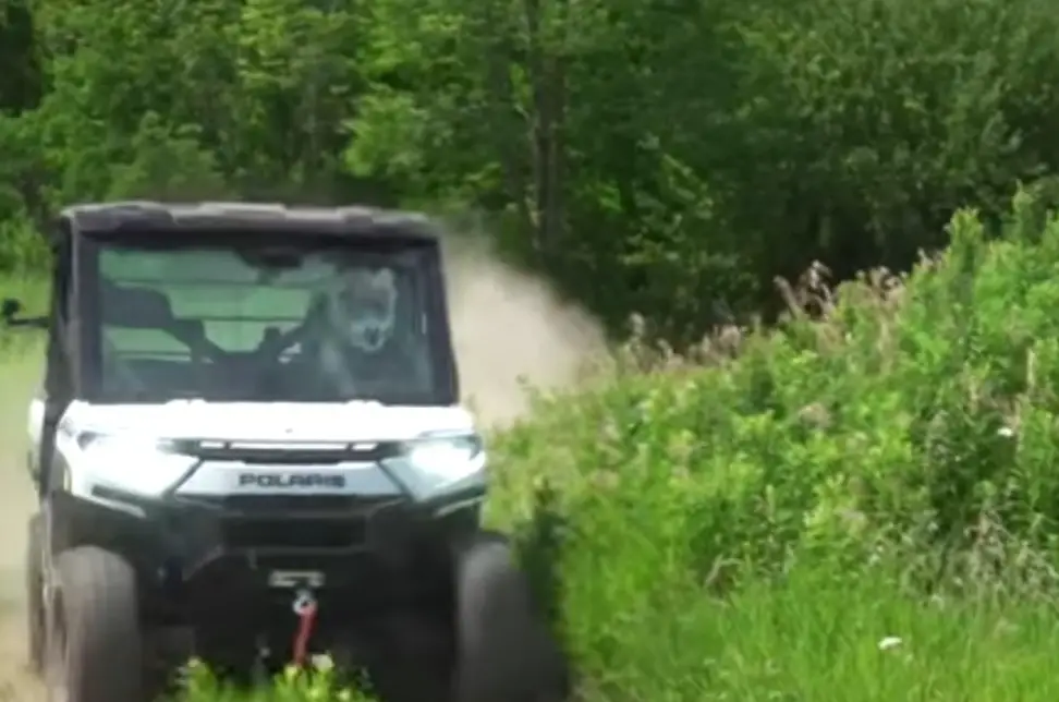 Amidst the lush greenery of the forest, my Polaris Ranger XP Kinetic became my trusted companion, as I embraced the freedom of off-road adventure and discovered hidden gems along the way.