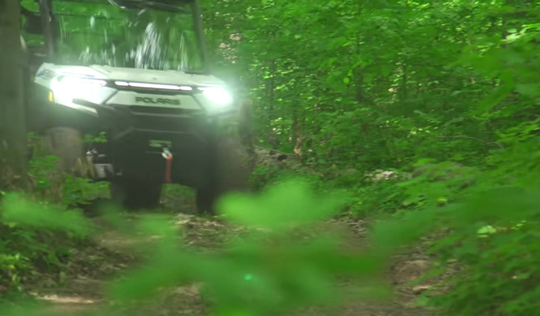 A Polaris Ranger with lights on is being driven through a deep green jungle.