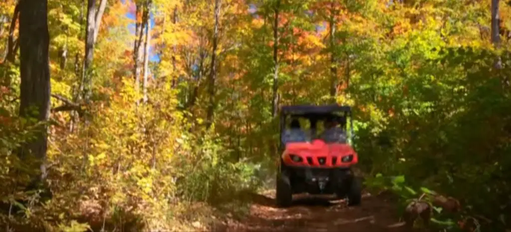 Lost amidst the towering trees, I found refuge in the Yamaha Rhino 700, its reliable performance guiding me through the labyrinth of the forest, forging unforgettable memories.