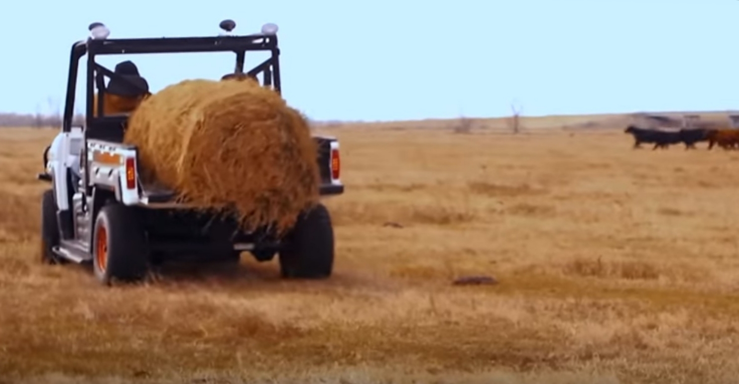 Bobcat UTV Diesel With Loader