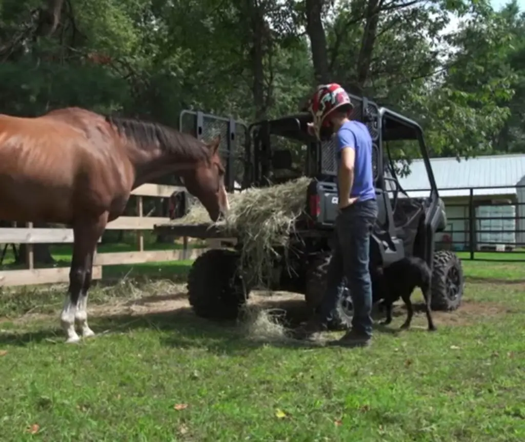 I checked on my livestock every morning without a hitch, relying on the dependable performance of my Can-Am Defender.