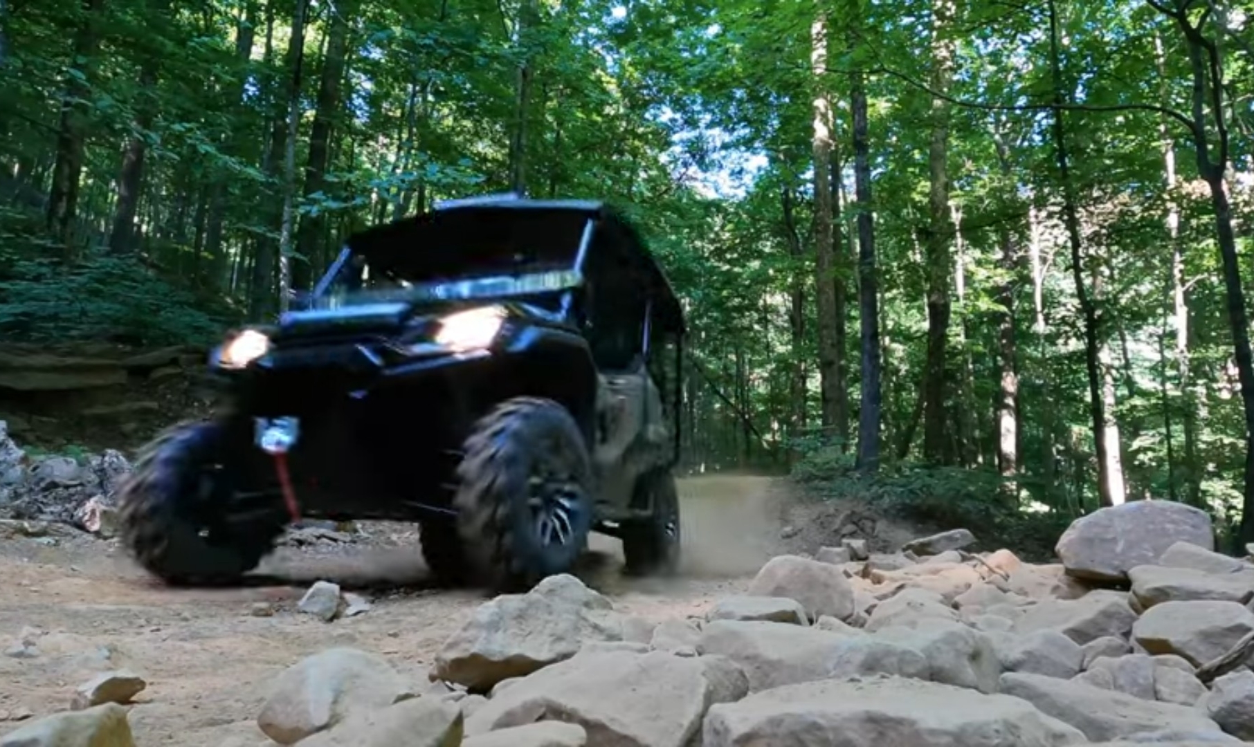 A Honda Pioneer 1000 is being driven through a forest road.