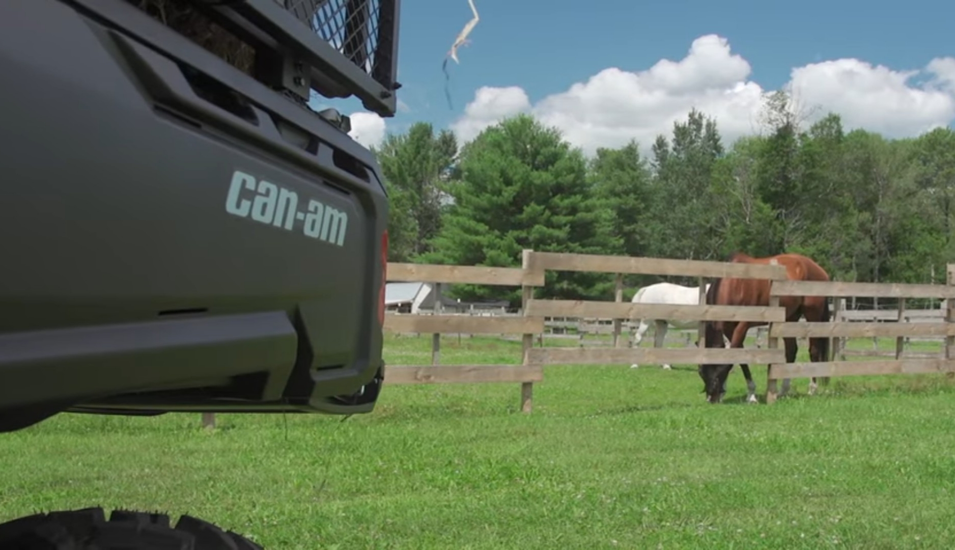 A Can-am defender is parked in a green field with fence. In the background there are two horses are eating grass.