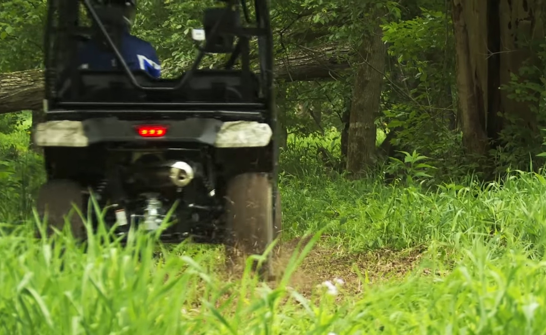 A Honda Pioneer 500 is being driven through a forest road.