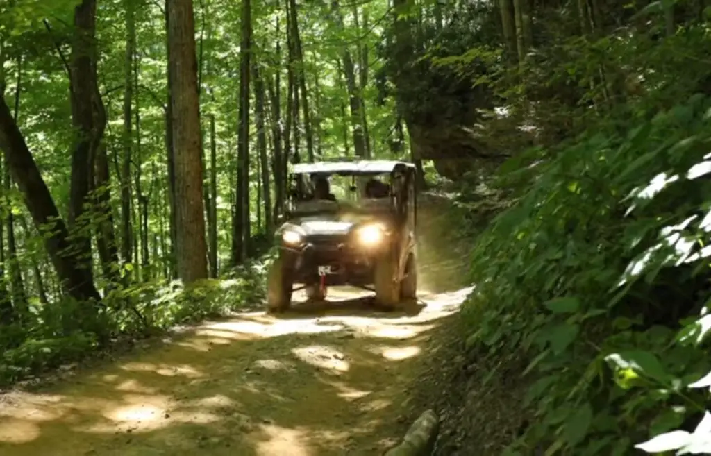 After fixing engine stalling problem I embarked on a journey with my Honda Pioneer 1000 through a jungle terrain.