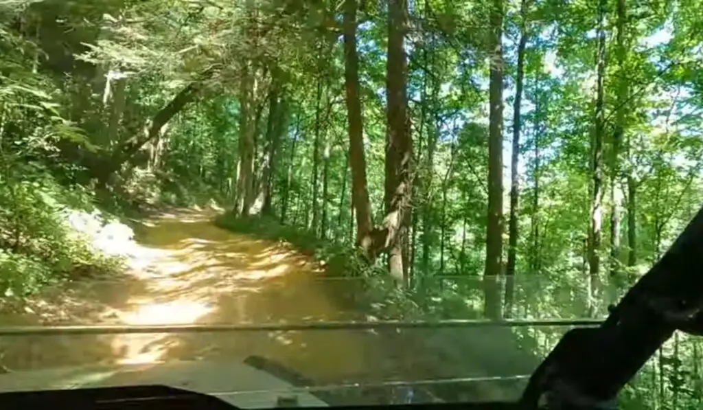 I was driving the Honda Pioneer 1000 through a forest road after fixing engine stalling problem.