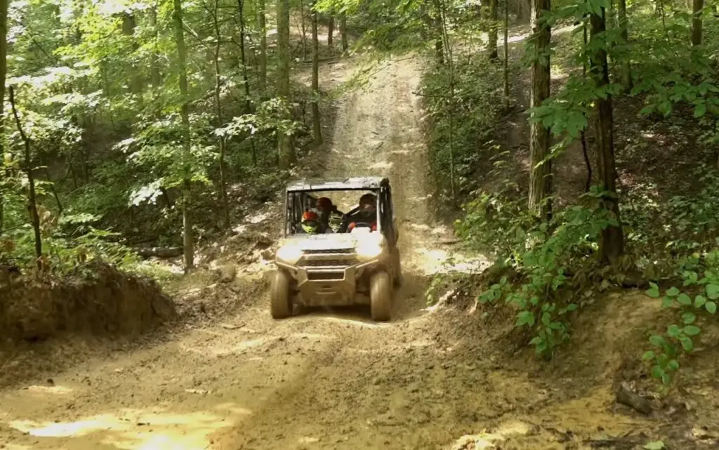 I took my Polaris Ranger Crew XP 1000 deep into the woods, and it was the perfect companion for a forest adventure.