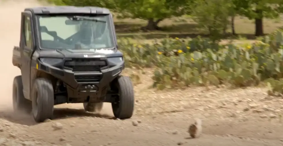 Sometimes I move on such terrains where I can do a Mudding Experience even if I don’t want to because I have customised my side-by-side tires into big monster tires.