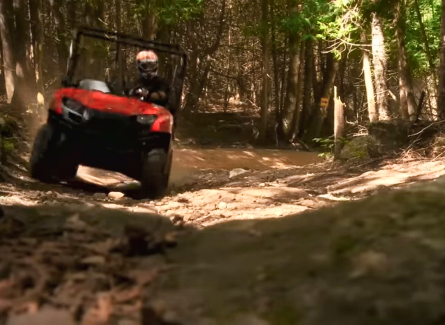 A Polaris Ranger 500 is being driven through a dirt forest road.