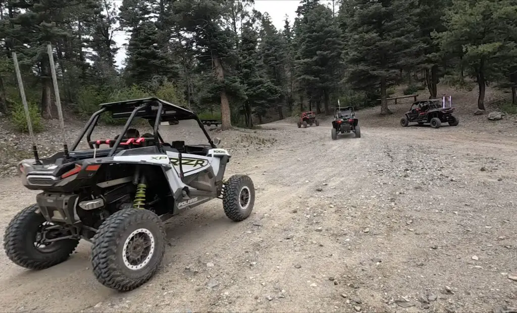 A Polaris RZR is being driven through a jungle terrain.