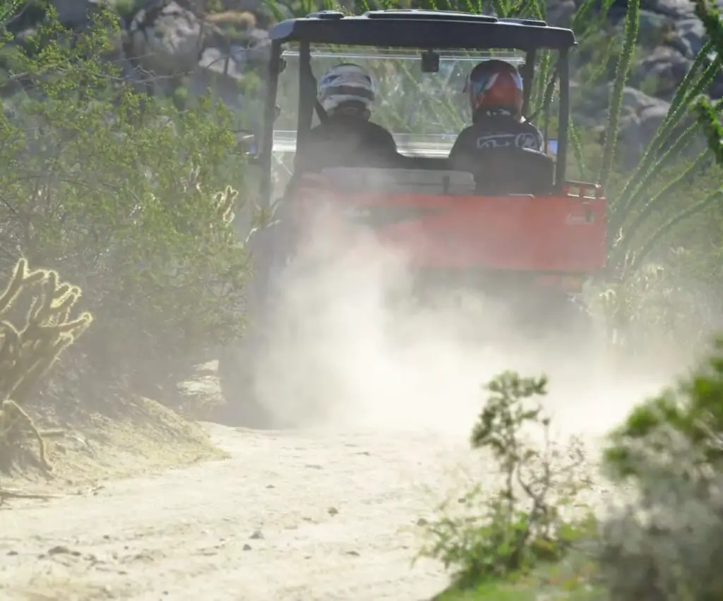 Cheapest UTV With Dump Bed 