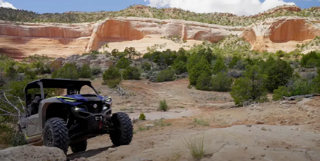 I upgraded my side-by-side tires to Rugged Terrain tires which are good for tackling all the big obstacles in front of me.