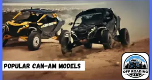 Popular Can-Am Models